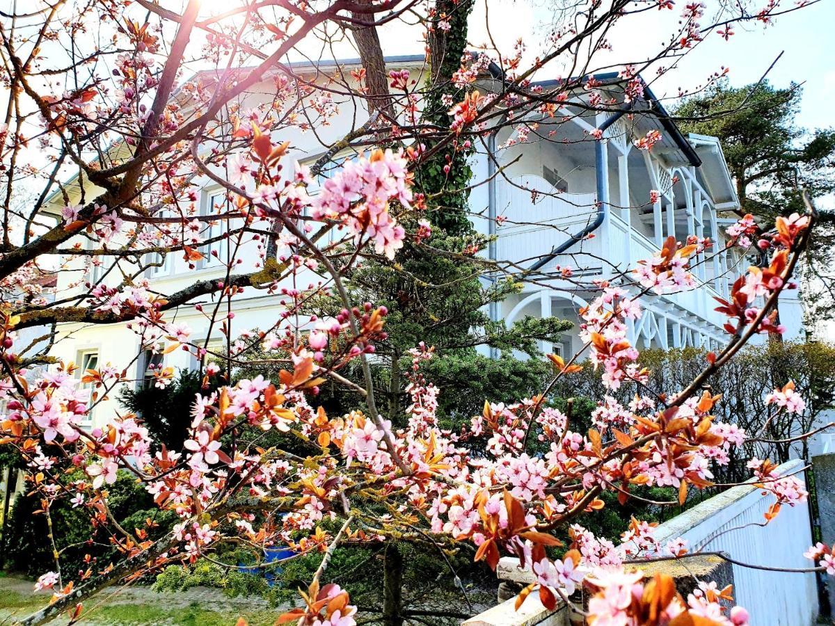 Villa Asta Binz Extérieur photo